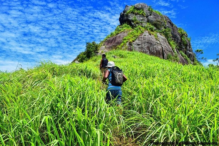 Saradiyel Village Trail And Alagalla Mountain Trekking Colombo - Photo 1 of 8
